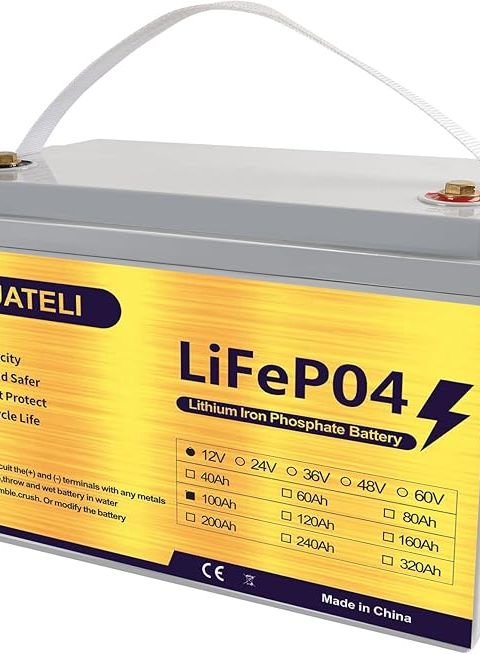 LIFELISUT Premium LiFePO4 Battery 12V 100Ah